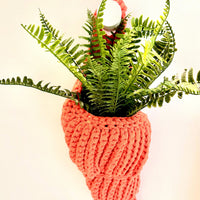 Calypso Seashell Hanging Planter Jodora Inc