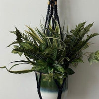Bushton Brass Accents Hanging Planter Plant Hangers Jodora Inc