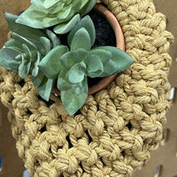 Parquet Air Plant / Succulent Macramé Indoor Plant Hanger (Single pod) Hanging Planter Jodora