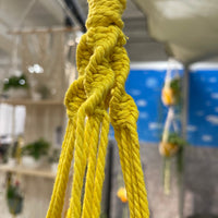 Double Beaded Macramé Hanging Planter - Holds Up to Two 4-6" Planters Hanging Planter Jodora