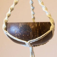 Parchette Succulent Indoor Macramé Plant Hanger Hanging Planter Jodora