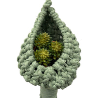 Parquet Air Plant / Succulent Macramé Indoor Plant Hanger (Single pod) Hanging Planter Jodora