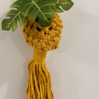 Parquet Air Plant Succulent Macramé Indoor Plant Hanging Pod Mini Boho Home Decor Car Plant Hanger Hanging Planter Jodora