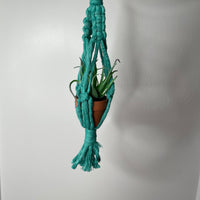 Salida Plant Hanger Hanging Planter Jodora