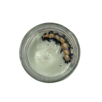 Jodora Lead Free Wick Soy Wax Candle 16oz Mason Jar Candle Jodora Inc