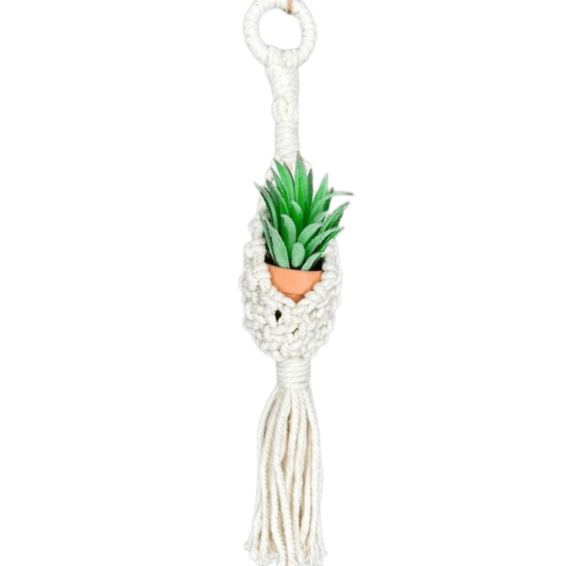 Azle Air Plant Hanger 100% Cotton Macrame Mini Boho Plant Holder, Handmade Succulent Plant Holder Bohemian Home Décor Hanging Planter Jodora