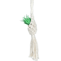 Azle Air Plant Hanger 100% Cotton Macrame Mini Boho Plant Holder, Handmade Succulent Plant Holder Bohemian Home Décor Hanging Planter Jodora