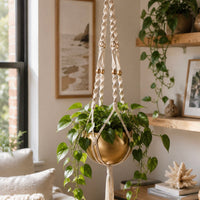 Cambria Hanging Planter Cambria Hanging Planter Hanging Planter Jodora Inc
