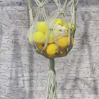 Tarpon Hanging Fruit Basket Herb Planter